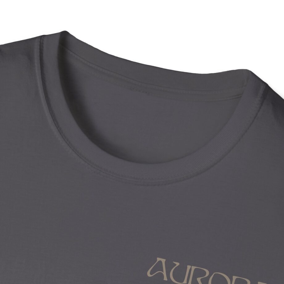 Aurora the Gods We Can Touch Unisex Softstyle T-Shirt