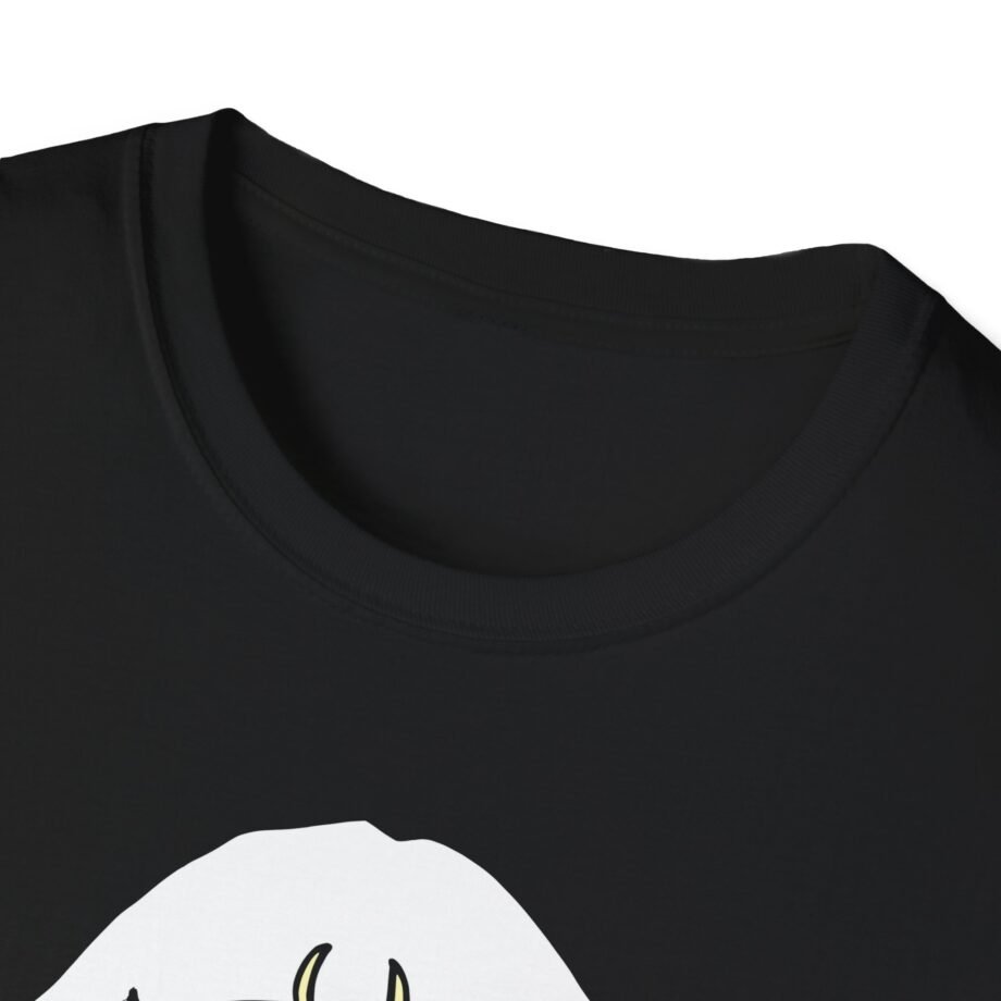 Aurora Unisex Softstyle T-Shirt