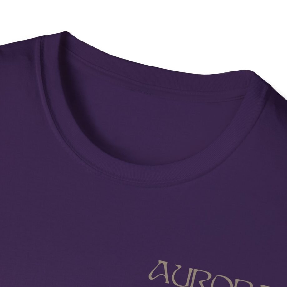 Aurora the Gods We Can Touch Unisex Softstyle T-Shirt