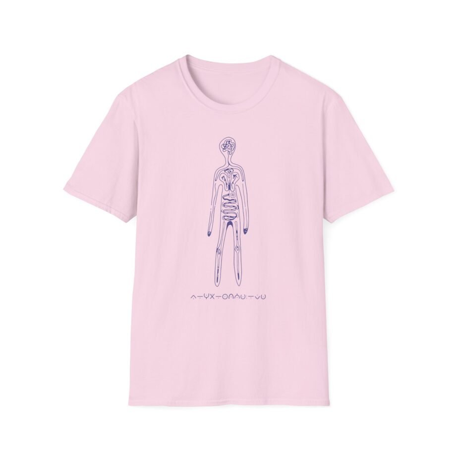 Aurora Step 2 Unisex Softstyle T-Shirt