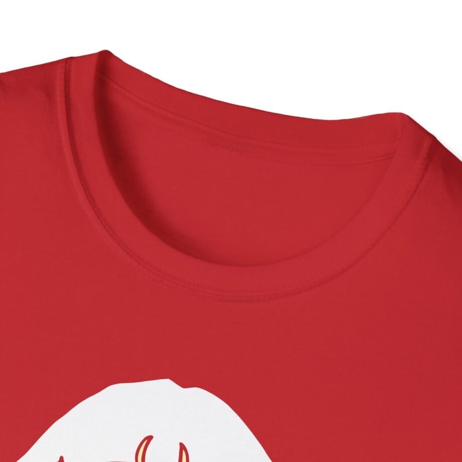 Aurora Unisex Softstyle T-Shirt