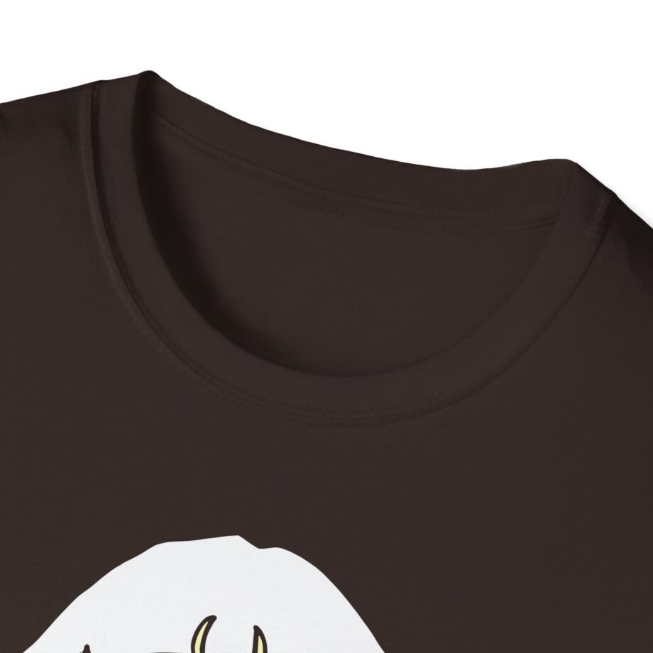Aurora Unisex Softstyle T-Shirt