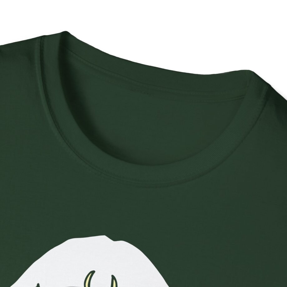 Aurora Unisex Softstyle T-Shirt