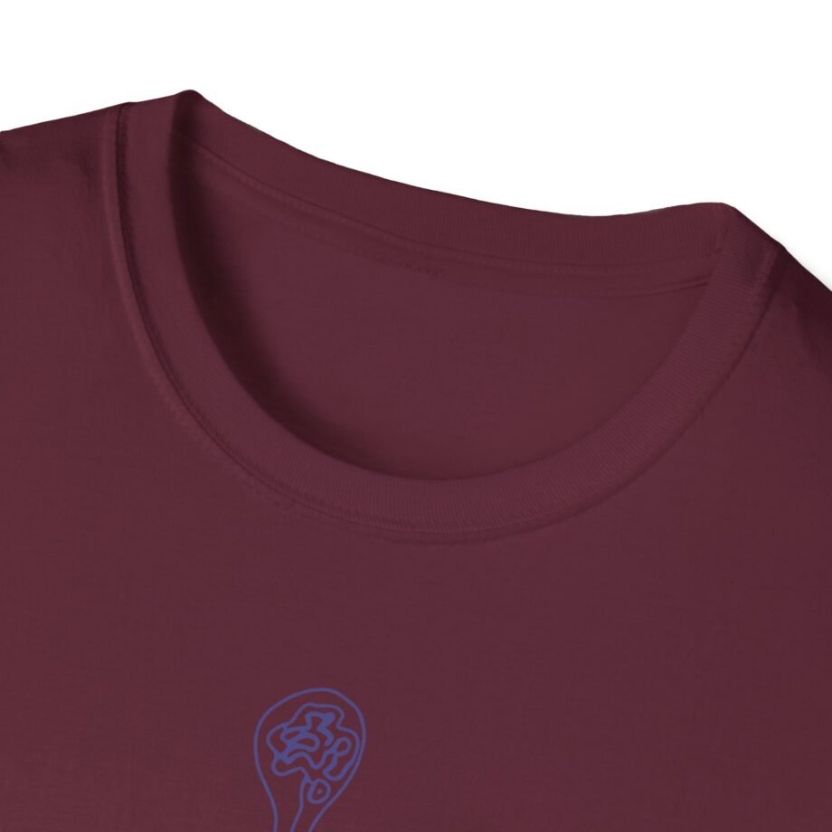 Aurora Step 2 Unisex Softstyle T-Shirt