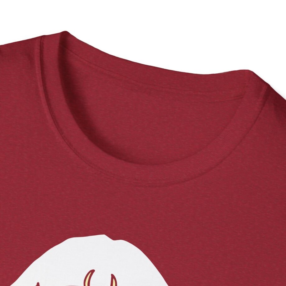 Aurora Unisex Softstyle T-Shirt