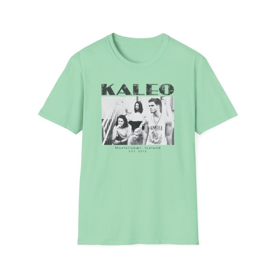 Kaleo 10 Year Anniversary Unisex Softstyle T-Shirt