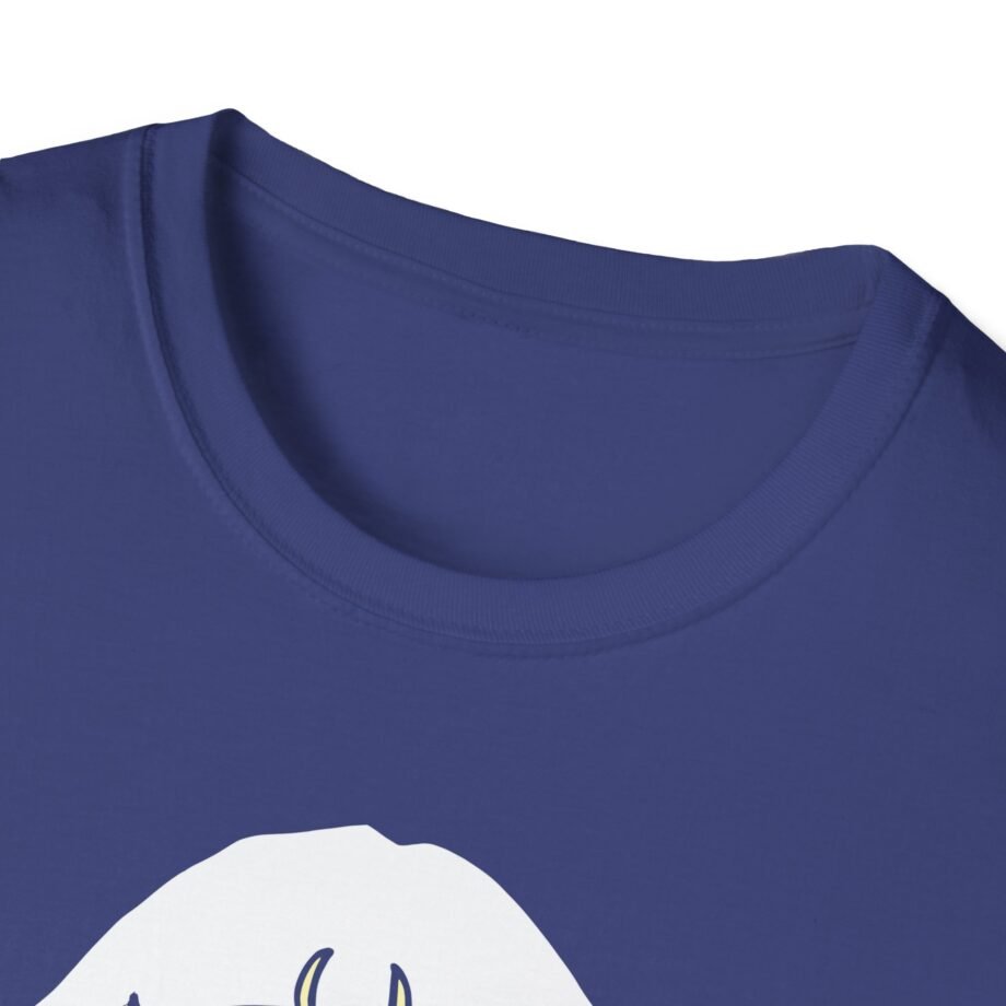Aurora Unisex Softstyle T-Shirt