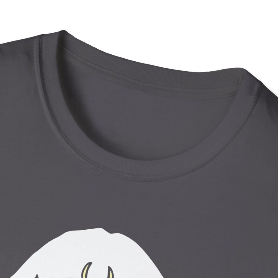 Aurora Unisex Softstyle T-Shirt