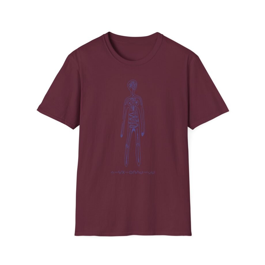 Aurora Step 2 Unisex Softstyle T-Shirt