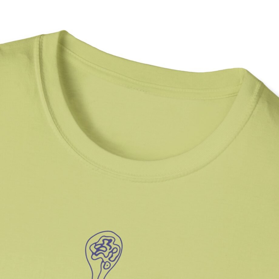 Aurora Step 2 Unisex Softstyle T-Shirt
