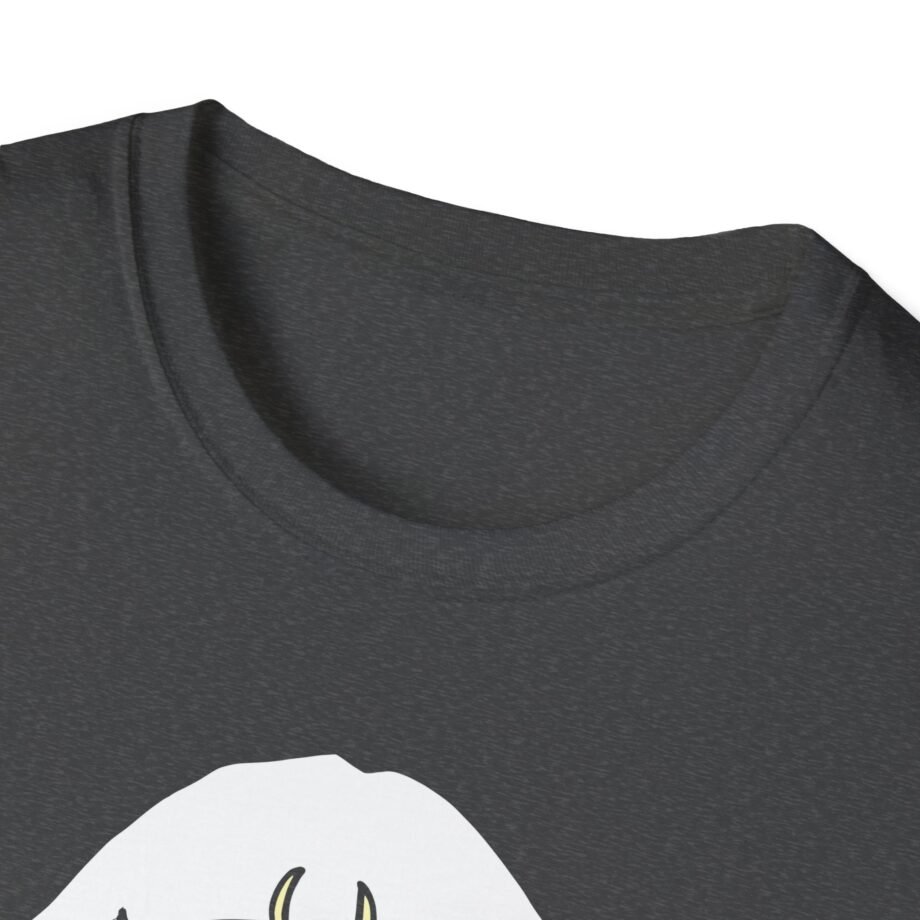Aurora Unisex Softstyle T-Shirt