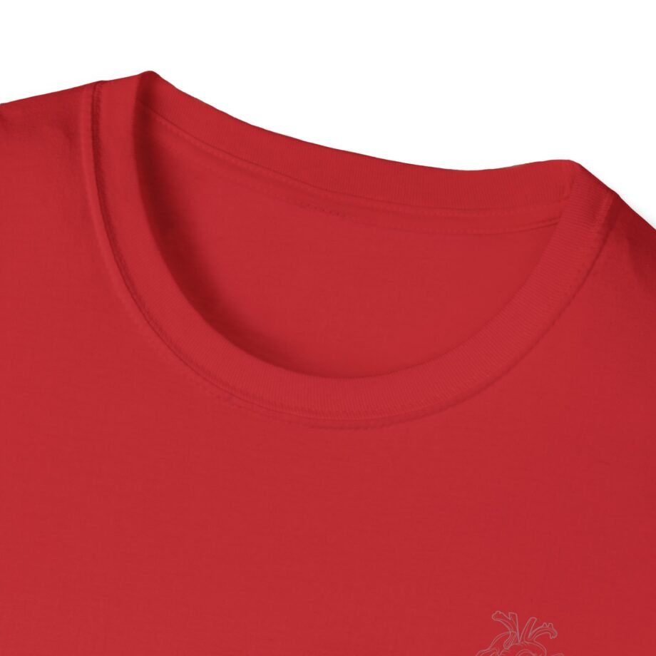 Aurora Step Unisex Softstyle T-Shirt