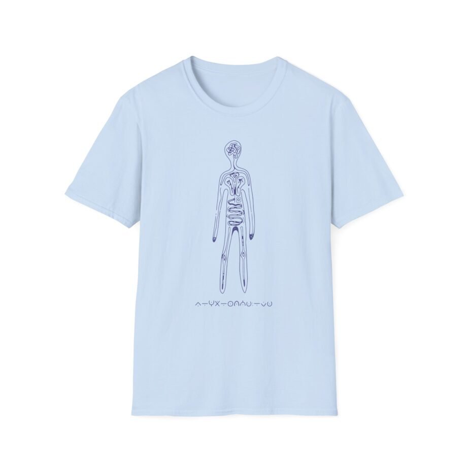 Aurora Step 2 Unisex Softstyle T-Shirt