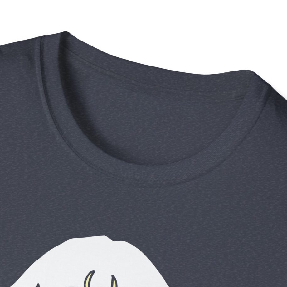 Aurora Unisex Softstyle T-Shirt