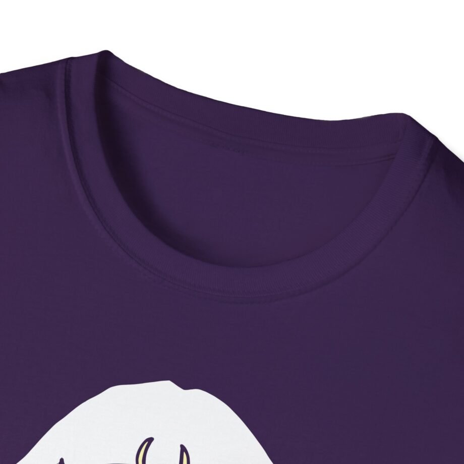 Aurora Unisex Softstyle T-Shirt