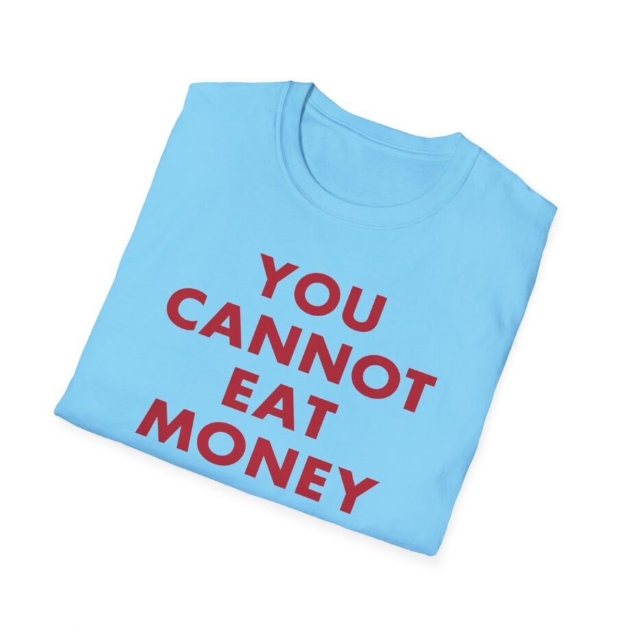 Aurora Unisex Softstyle T-Shirt