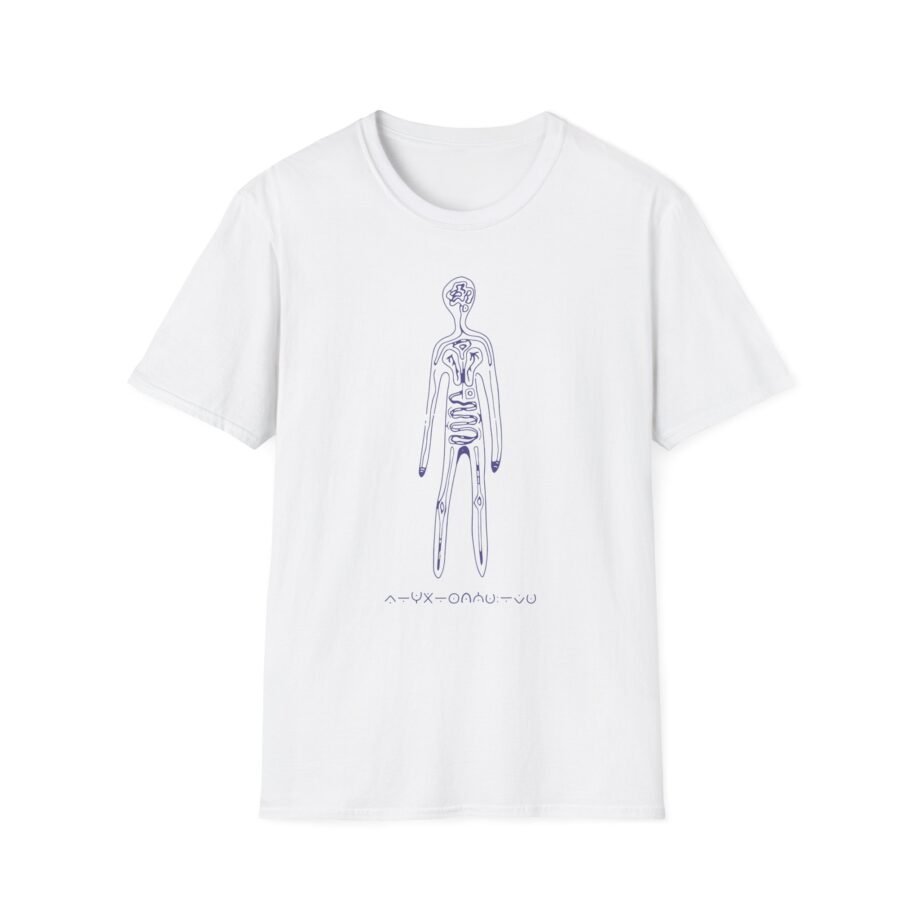 Aurora Step 2 Unisex Softstyle T-Shirt