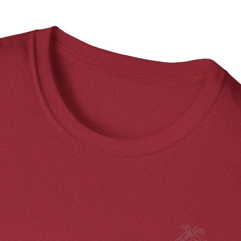 Aurora Step Unisex Softstyle T-Shirt