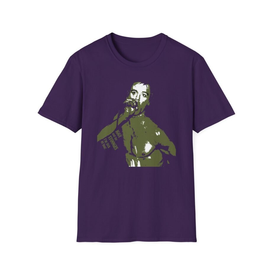 The Stooges I'm Sick of You! Unisex Softstyle T-Shirt