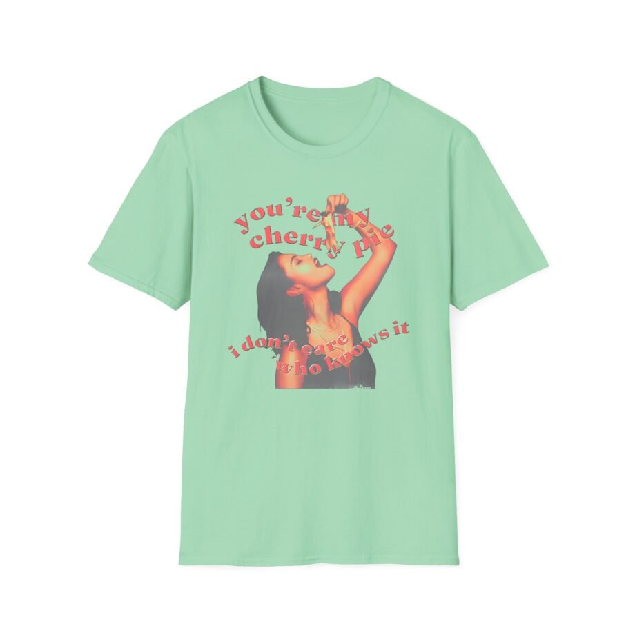 SG I Don’t Care Who Knows It Unisex Softstyle T-Shirt