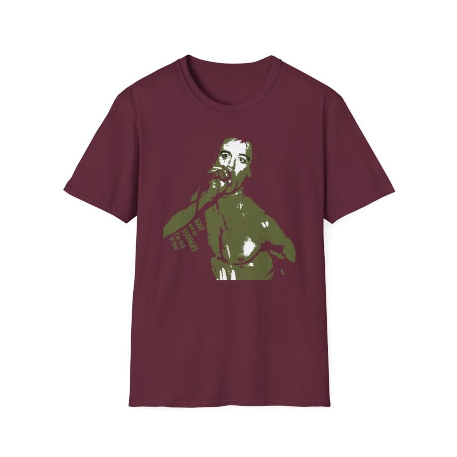The Stooges I'm Sick of You! Unisex Softstyle T-Shirt
