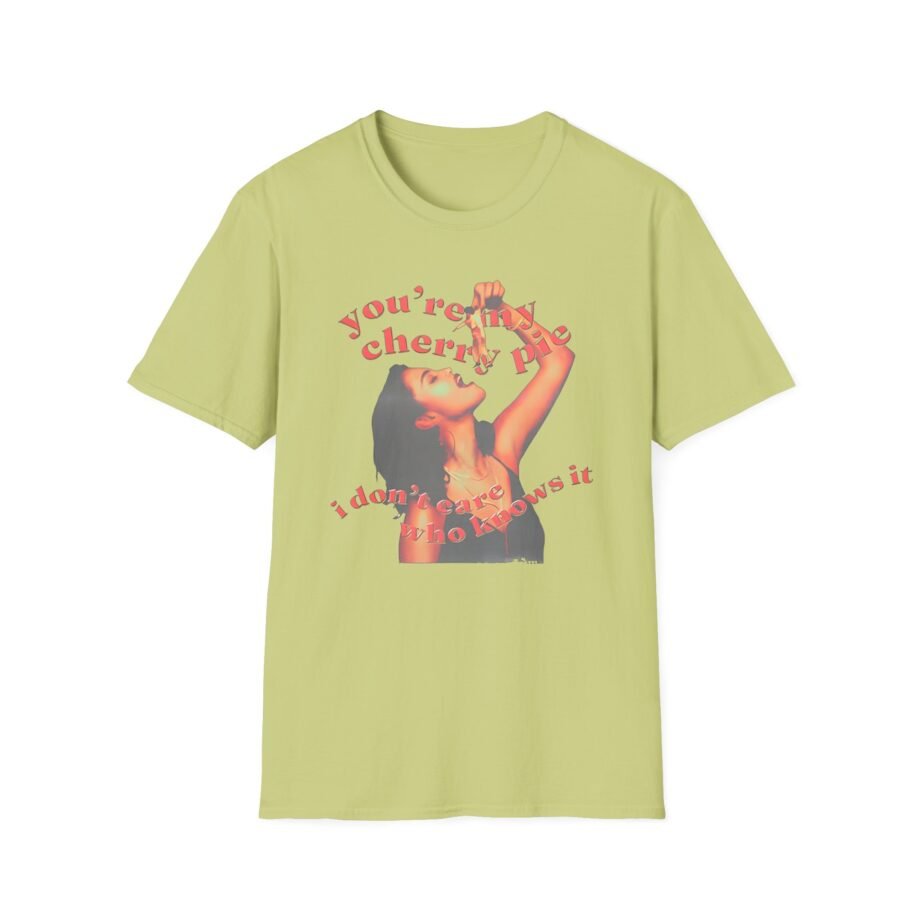 SG I Don’t Care Who Knows It Unisex Softstyle T-Shirt