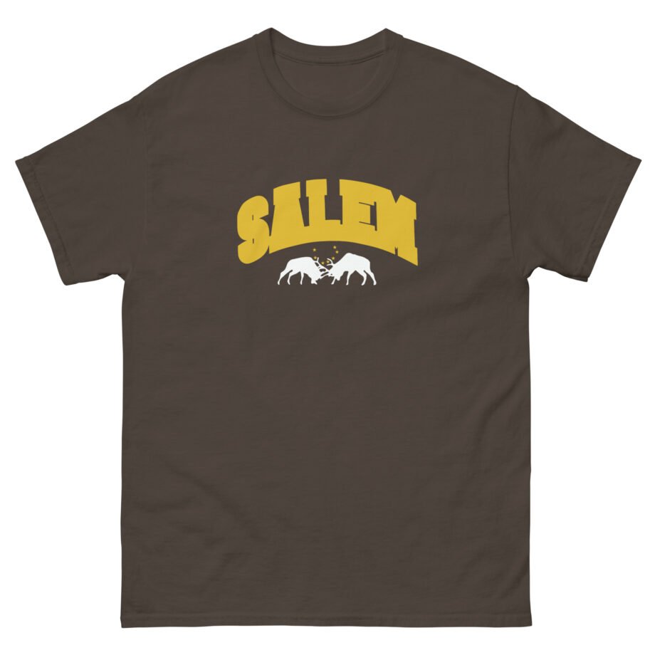 Salem Collegiate Unisex classic tee