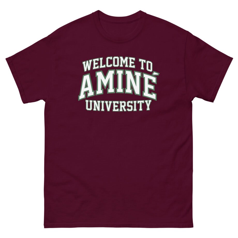 Aminé University Unisex classic tee