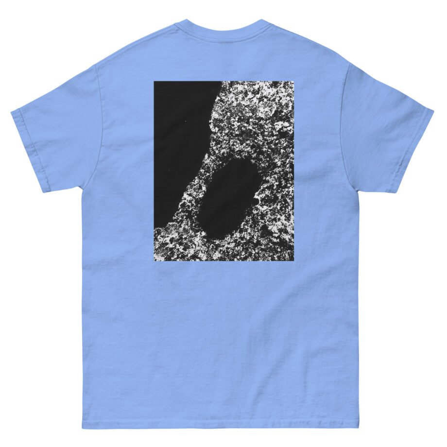 Bicep AYR Unisex classic tee