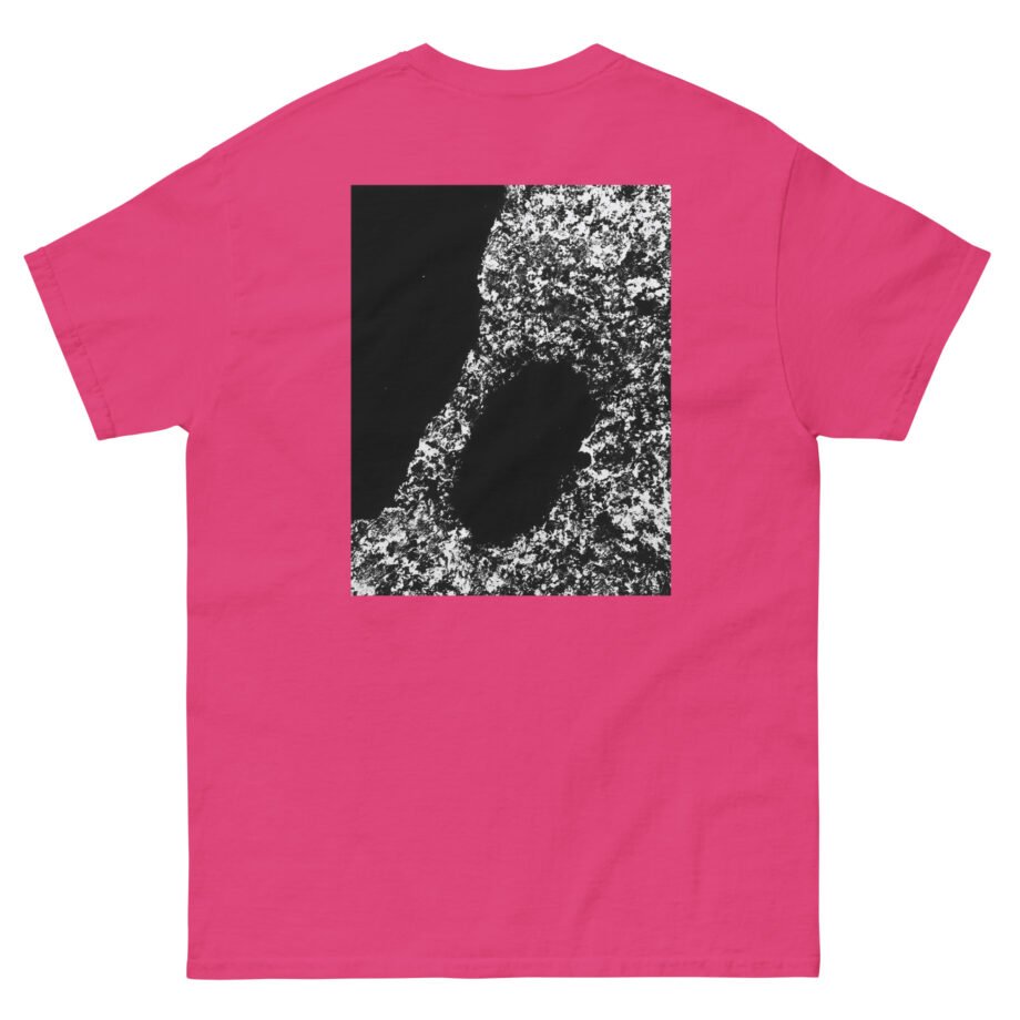 Bicep AYR Unisex classic tee