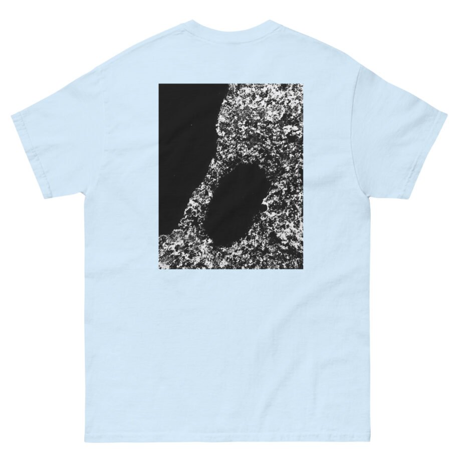 Bicep AYR Unisex classic tee