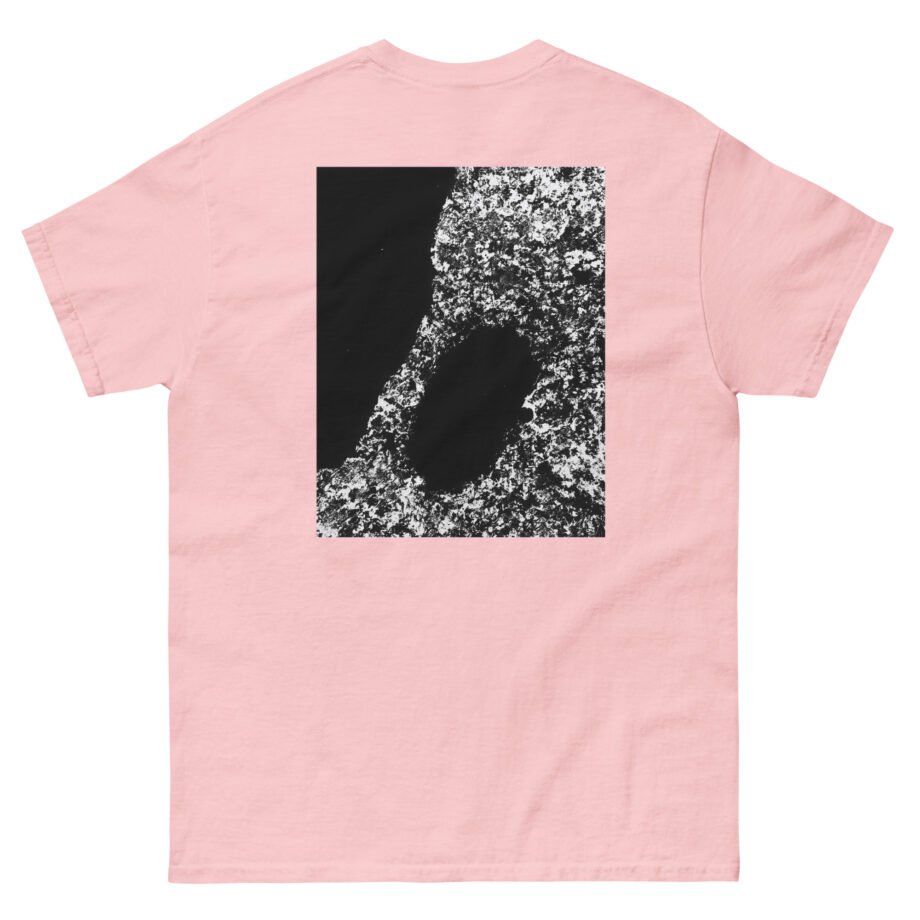 Bicep AYR Unisex classic tee