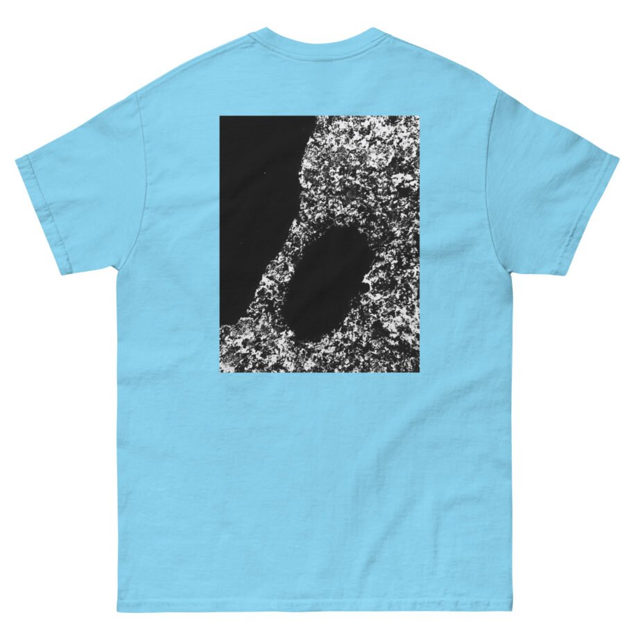 Bicep AYR Unisex classic tee