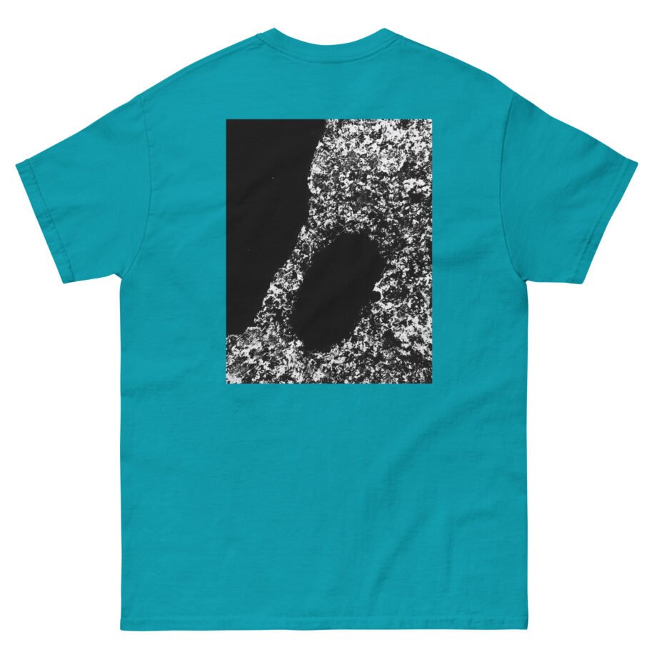 Bicep AYR Unisex classic tee